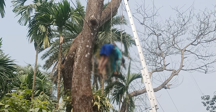 বিদ্যুৎস্পৃষ্ট হয়ে গাছেই ঝুলে ছিল শ্রমিকের লাশ