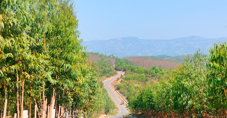 বান্দরবানে অর্ধগলিত মরদেহ উদ্ধার