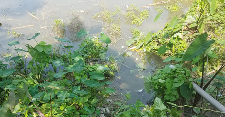 স্যান্ডেল দেখে পাওয়া গেল দুই শিশুর লাশ