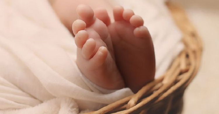 উপজেলা স্বাস্থ্য কমপ্লেক্সের পেছনে নবজাতকের লাশ