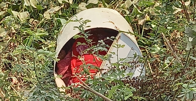 ডোবায় ড্রামের ভেতর মিলল নারীর লাশ