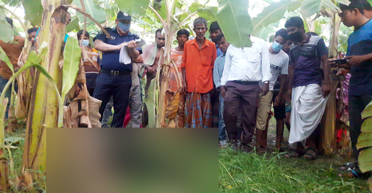 বৃদ্ধের জবাই করা লাশ উদ্ধার