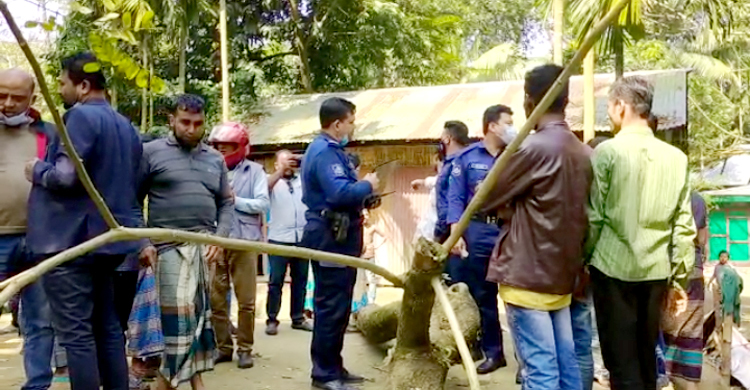 নানার বাড়িতে এসে গাছচাপায় শিশুর মৃত্যু, আহত ৪