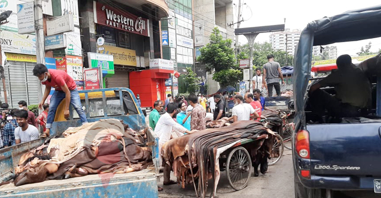 চামড়ার লাভ যাচ্ছে কার পকেটে?