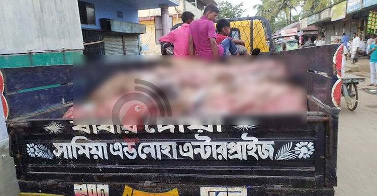 পানির দরে চামড়া, লোকসানের ভয়ে কিনছেন না ব্যবসায়ীরা