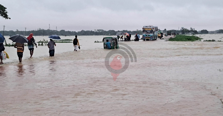 নেত্রকোনায় ভেসে গেছে সাড়ে ১১ কোটি টাকার মাছ