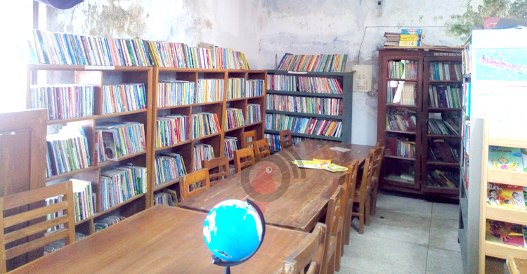 Library-1.jpg