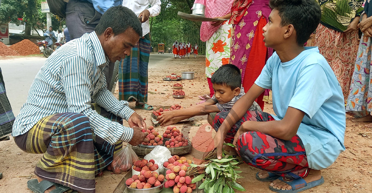কুড়ানো লিচুর টাকায় স্বপ্ন পূরণের আশা