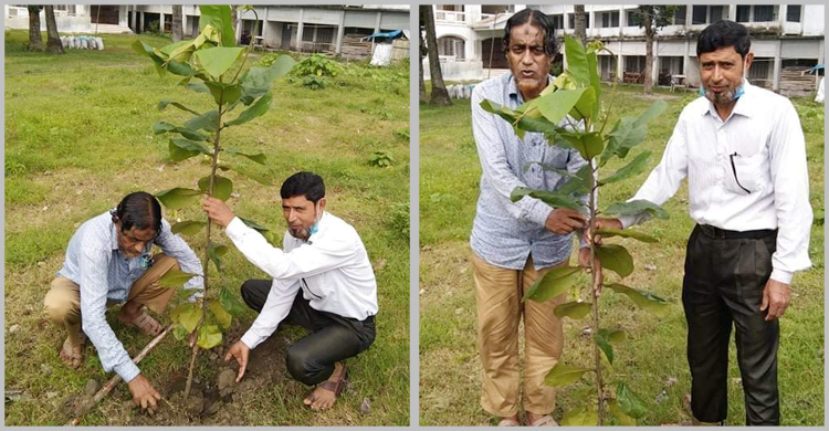 শিক্ষক জুলফিকার আলীর স্বপ্ন প্রতিটি উপজেলায় গাছ লাগাবেন