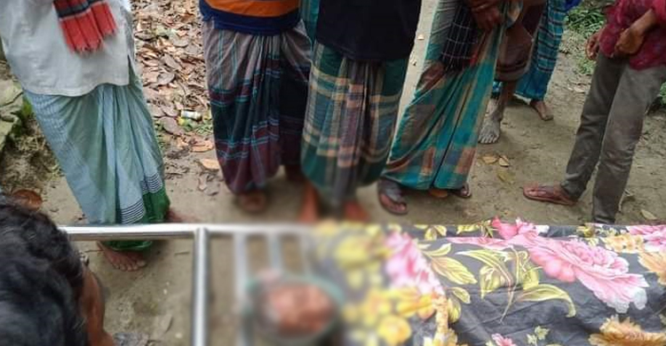 দুপুরের খাবার খেয়ে বসেছিলেন কৃষক, প্রাণ গেলো বজ্রপাতে