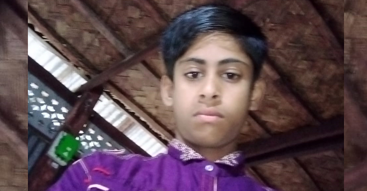 ধানক্ষেতে ইঁদুর মারার ফাঁদ, বিদ্যুৎস্পৃষ্টে কিশোরের মৃত্যু