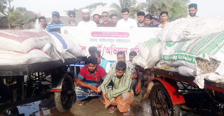 সুন্দরবনে বিষ দিয়ে মারা ৩৭ মণ মাছ জব্দ, আটক ৭