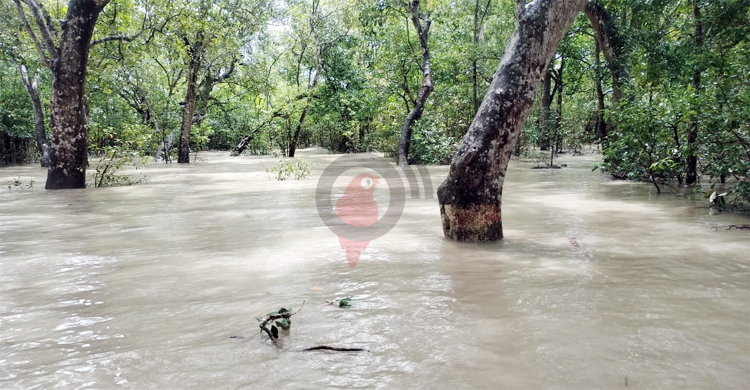 অস্বাভাবিক জোয়ারে প্লাবিত সুন্দরবন