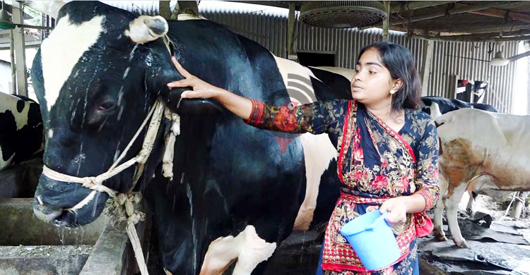 সেই যুবরাজ-সিংহরাজ-যোদ্ধা নিয়ে ক্রেতার অপেক্ষায় ইতি