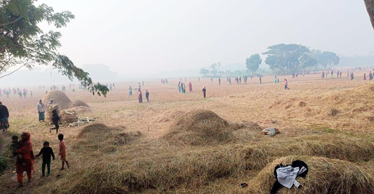 মাদারীপুরে দুপক্ষের সংঘর্ষে ককটেল বিস্ফোরণ, আহত ১০