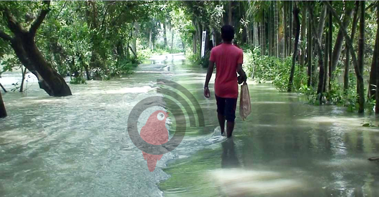 বিপৎসীমার ওপরে যমুনার পানি, নিম্নাঞ্চল প্লাবিত