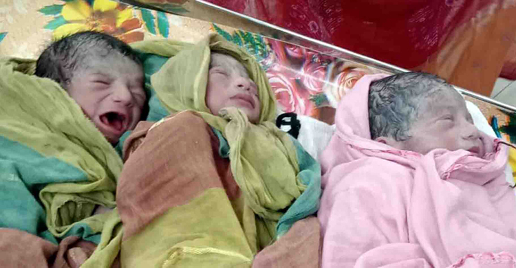 একসঙ্গে ৩ কন্যার মা হলেন গৃহবধূ