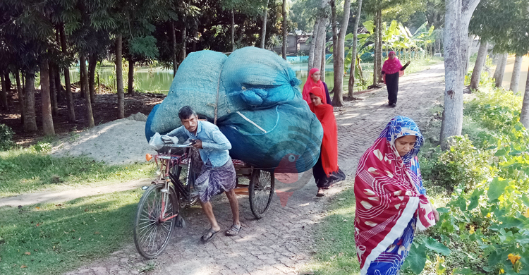 সংঘর্ষ-নিহত: লুটপাটের আশঙ্কায় মালামাল সরিয়ে নিচ্ছে গ্রামবাসী