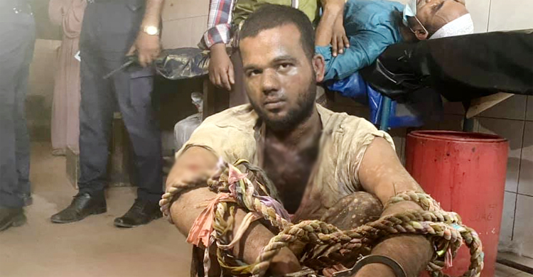 পাগলের ছুরিকাঘাতে প্রাণ গেল দুই কৃষকের