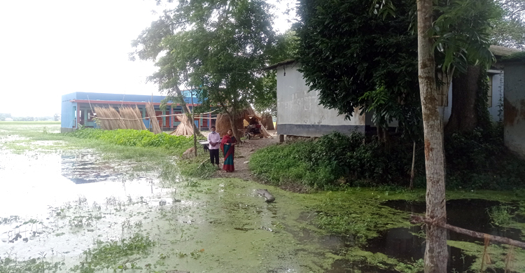 বন্যার পানিতে নিমজ্জিত ২০ প্রাথমিক বিদ্যালয় খোলা নিয়ে শঙ্কা