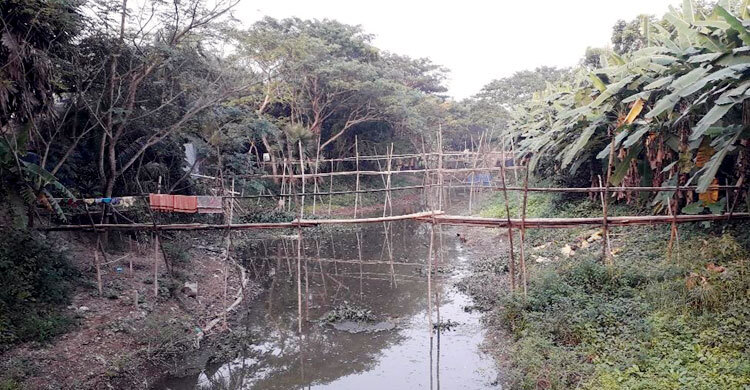 ঝুঁকিপূর্ণ বাঁশের সাঁকো দিয়ে খাল পারাপার, ভোগান্তিতে এলাকাবাসী