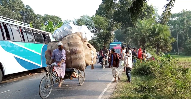 মাদারীপুরে বাসচাপায় ভ্যান চালকসহ নিহত ২