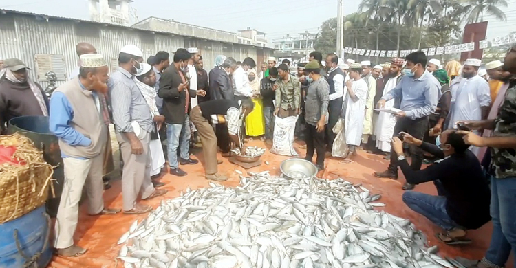 ৭৫০ কেজি জাটকা জব্দ করে এতিমখানায় বিতরণ