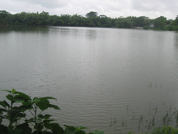 ঐতিহ্য হারাচ্ছে সেনাপতির দিঘি