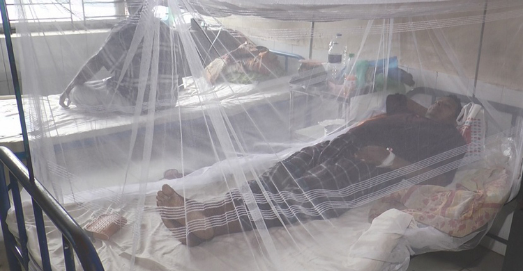 ২৪ ঘণ্টায় মাদারীপুরে আরও ১২ ডেঙ্গু রোগী