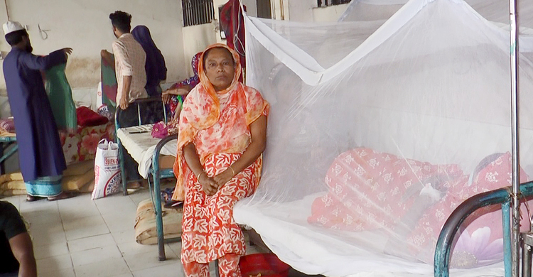 মাদারীপুরে হাসপাতালে ভর্তি আরও ৬ ডেঙ্গু রোগী
