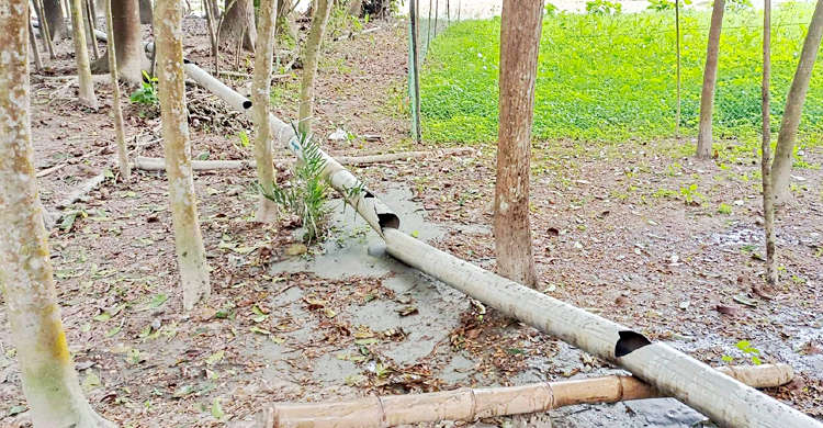 কালকিনিতে অবৈধভাবে বালু উত্তোলন করায় পাইপ কেটে মামলা