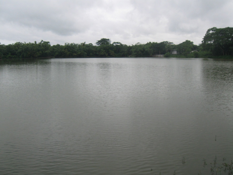 ঐতিহ্য হারাচ্ছে সেনাপতির দিঘি