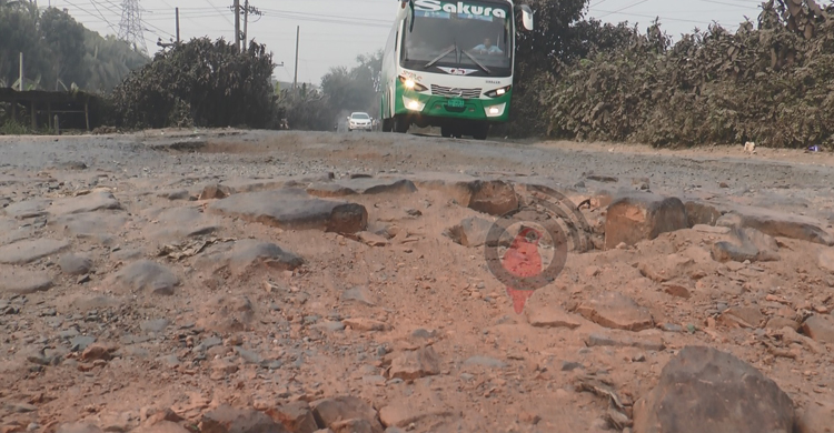 খানাখন্দ যেন মাদারীপুর মহাসড়কের পিছু ছাড়ছে না