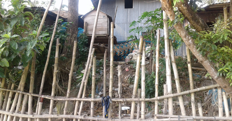 কুমার নদের পাড়ে ৫০ পরিবার ভাঙনের কবলে