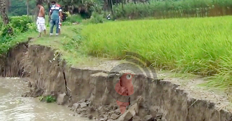 আড়িয়াল খাঁর তীব্র ভাঙনে ঝুঁকির মুখে ১০ গ্রাম