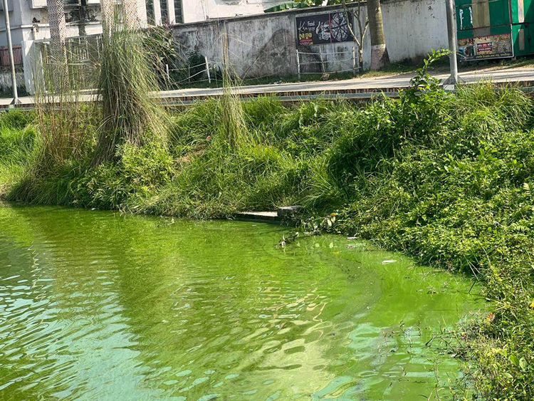 মাদারীপুরের একমাত্র বিনোদন কেন্দ্র শকুনি লেকটির পানি দিন দিন নষ্ট হলেও প্রশাসনের পক্ষ থেকে কোনো পদক্ষেপ নেওয়া হয়নি। এতে করে সচেতনমহলের মধ্যে ক্ষোভের সৃষ্টি হয়েছে