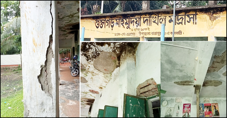 পিলারে ফাটল, ক্লাস চলাকালীন ছাদ থেকে খসে পড়ে পলেস্তারা