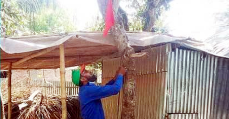 সব প্রবাসীর বাড়ির সামনে লাল পতাকা