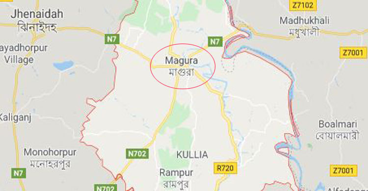 মাগুরায় মৌমাছির কামড়ে শিশুর মৃত্যু