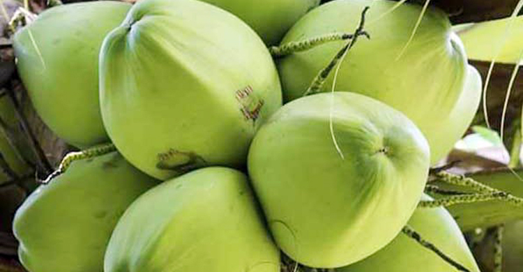 মাগুরায় এক ডাব ১২০ টাকা