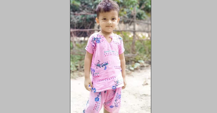 নানা বাড়ি বেড়াতে গিয়ে পানিতে ডুবে শিশুর মৃত্যু