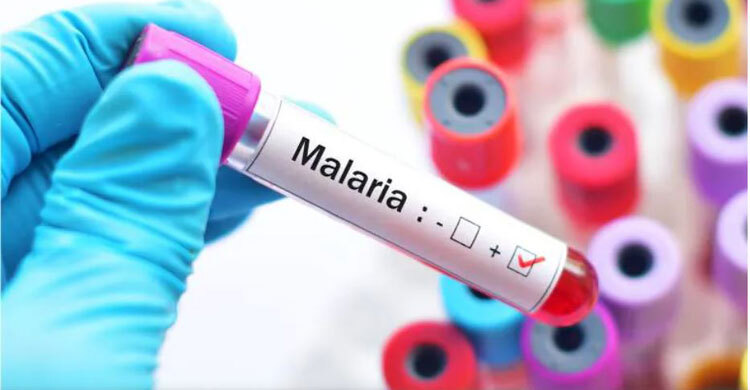 Malaria deaths rise by 69,000 in 2020 due to COVID-19 disruptions: WHO