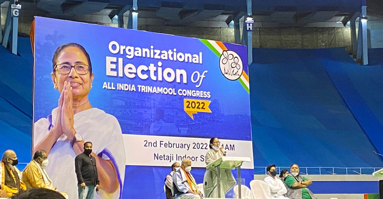 সর্বভারতীয় তৃণমূল কংগ্রেসের চেয়ারপারসন হলেন মমতা