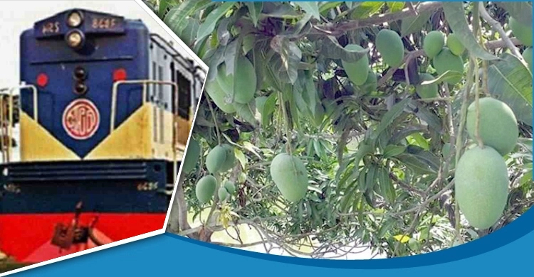 প্রস্তুত ম্যাংগো স্পেশাল ট্রেন