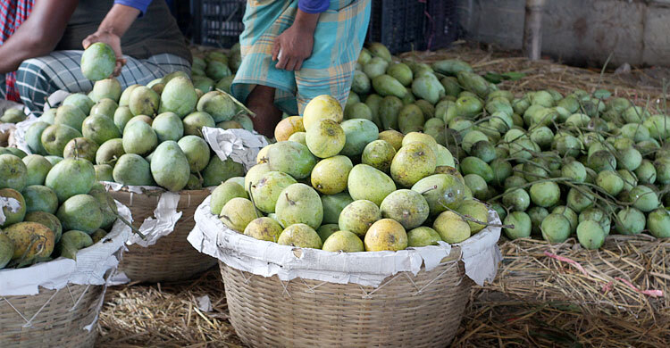 চাঁপাইয়ের বেনামি আমগুলোর নামকরণ হচ্ছে