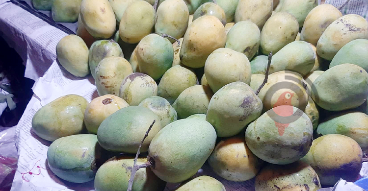 বাজারে হিমসাগর ছাড়া আম নেই, লিচুতে স্বস্তি
