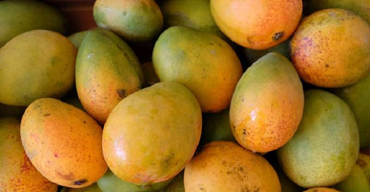 ফুরিয়ে আসছে আম, বাড়ছে দাম