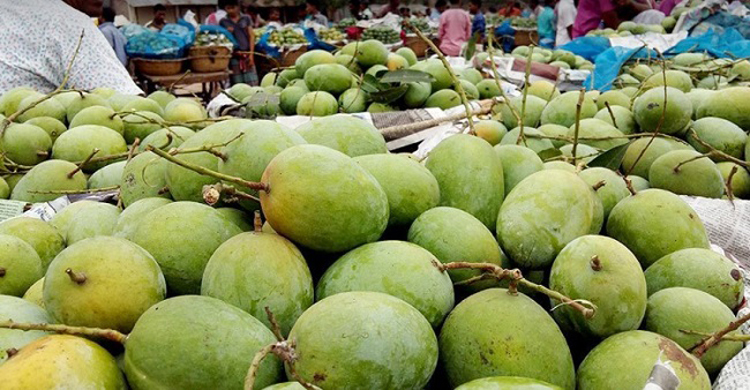 বাংলাদেশ থেকে আম আমদানি করতে চায় রাশিয়া