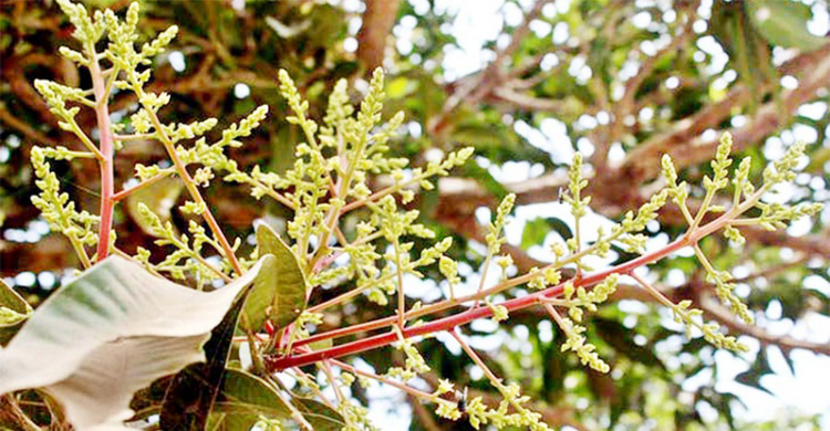 আবহাওয়ার খবর: ২২ ফেব্রুয়ারি ২০২৩