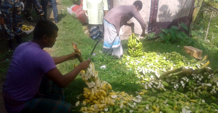 ১২ ঘণ্টায় পেকে যাওয়া ৫ হাজার পিস কলা নষ্ট করে দেয়া হলো